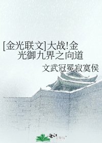 [金光聯文]大戰!金光御九界之向道