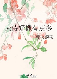 夫侍好像有点多