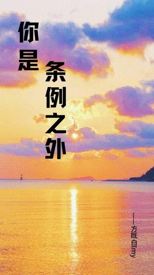 你是條例之外[警匪]