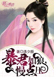 《暴君如狼,慢点压》