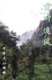 《落葉追風》