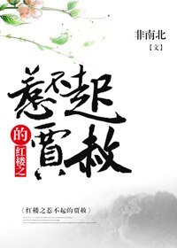 （BL/红楼同人）红楼之惹不起的贾赦